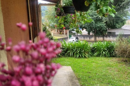 Galeria 6